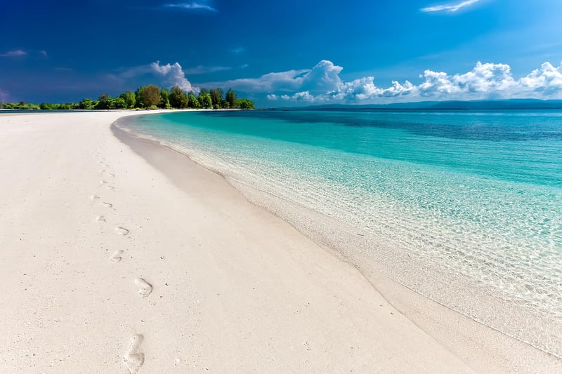 Tropical Beach Wedding